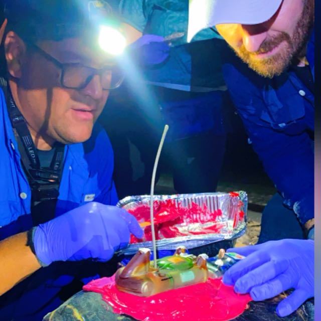 Two researchers in headlamps and blue jackets preparing a tag set in pink resin