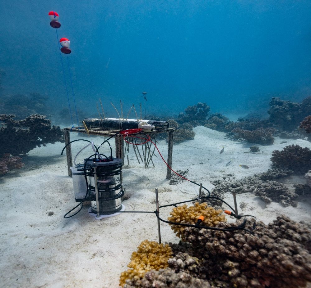 An underwater frame carrying a cylindrical instrument and pump housing on a coral reef, with red floats rising above it